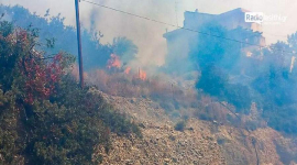Лесной пожар бушует на греческом острове Крит, населенные пункты эвакуированы