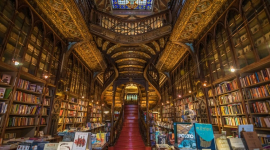 Livraria Lello: найбагатше оздоблений книжковий магазин у світі, що знаходиться в Португалії (ФОТО)