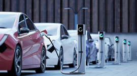 Регулятор планує отримати схвалення системи автономного керування Tesla в Нідерландах