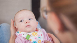 В Австрії у банці дитячого харчування HiPP виявили щурячу отруту