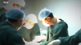 Пекин вырезает органы у приверженцев Фалуньгун