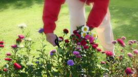 Отримайте максимум користі від весняних садових робіт вже зараз