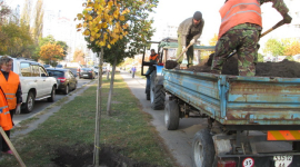 У Києві висадили 30 тисяч дерев та кущів