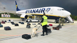 Письмо о бомбе на борту Ryanair отправили после разворота самолёта на Минск