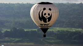 WWF критикует: ЕС — это дорогой супермаркет, а не мировая житница