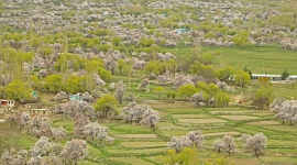 В Пакистане зафиксирован «самый влажный апрель» за последние 60 лет