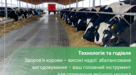 Як збільшити надої молока у корови весною?