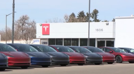 Совет директоров Tesla отрицает, что ищет преемника Илона Маска