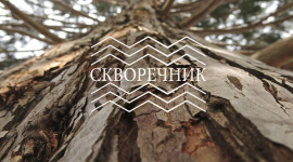 У Києві відкрили кафе на деревах