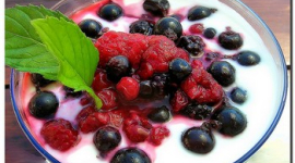 Домашний йогурт: о пользе и основных компонентах