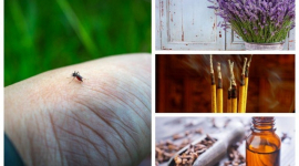 Найкращі засоби для відлякування комарів: у саду, на пікніку та вдома