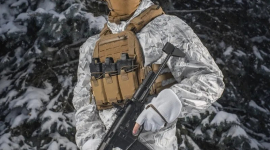 Рlate carrier