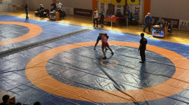 Спортивна боротьба в МАУП під патронажем Ростислава Щокіна