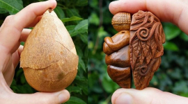 Косточки авокадо вместо дерева: фантастическое искусство Джан Кэмпбелл