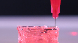 3D-принтер надрукує органи для трансплантації