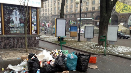 Как сделать город чище: петиция киевлянина