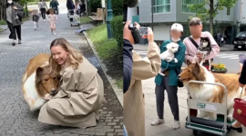 Японець, який виклав $16 тис., щоб стати "собакою", опублікував відео першої прогулянки (ВІДЕО)