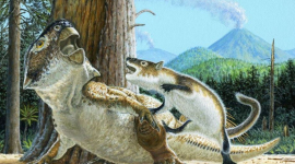 У Китаї знайшли скам'янілого ссавця, який кусає динозавра (ФОТО)