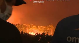 Португалія бореться з трьома великими лісовими пожежами в умовах спекотної літньої погоди (ВІДЕО)