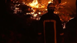 У околицях Парижа вирує лісова пожежа на тлі спеки, що охопила Європу (ВІДЕО)