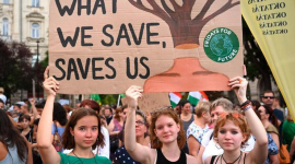 Энергетическая война в ЕС: Венгрия смягчает правила лесозаготовки. Тысячи венгров выходят на улицы