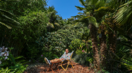 У США чоловік перетворив власний сад на джунглі (ФОТО)