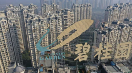 Найбільший забудовник Китаю Country Garden зіткнувся з борговою кризою (ВІДЕО)