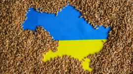 Украина наращивает экспорт зерна, несмотря на усиление российских атак
