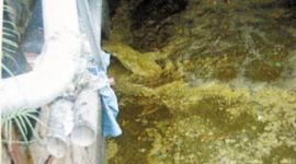 В реку-источник питьевой воды на юге Китая слили 10 тонн экскрементов