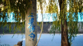 В китайском городе появились многочисленные надписи против компартии. Фотообзор