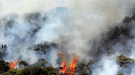 Из-за лесного пожара в штате Невада эвакуированы 10 тысяч человек