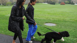 Фотобзбор: В семье Барака Обамы появилась собака