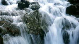 „Пам'ять води” та зародження живої матерії. Біорезонансні ефекти