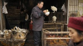 Ще одна жертва пташиного грипу в Китаї