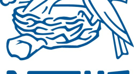 У продуктах Nestle знайшли конину