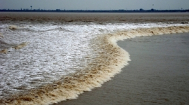 Река Цяньтан страдает от экологического бедствия