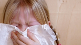 Аллергия на животных ухудшает симптомы сенной лихорадки