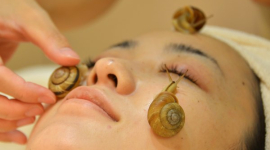 Оригінальна косметологія: масаж обличчя зміями та равликами