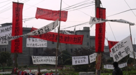 Крестьяне в Китае встречают Новый год протестами