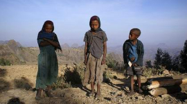 Эфиопия: правительство готовит удар по гражданскому обществу