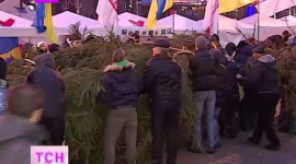Євромайдану подарували 14-метрову живу ялинку