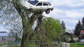 Машину поляка підвісили на дерево, щоб покарати за швидку їзду