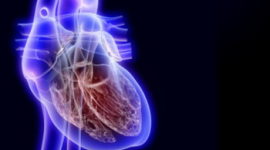 Чадний газ і хвороби серця - зв'язок причини і наслідку