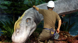 Фотоогляд: Динозаврів покажуть на виставці в Японії 