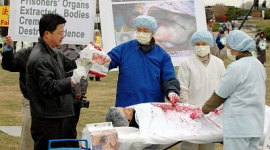 Сейчас в Китае клиники по пересадке органов работают круглосуточно