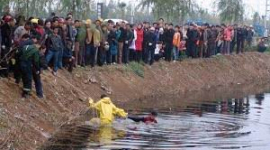 Китайцы становятся все более циничными
