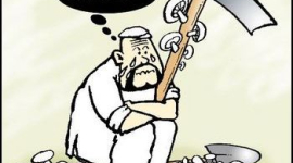 Количество китайских крестьян, потерявших землю, превысит сто миллионов через 10 лет