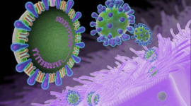 В Україні очікується новий вірус грипу - медики