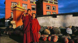 Тибет. Стародавній культурі загрожує загибель