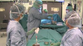 Пациентам научились пересаживать искусственно выращенные органы
